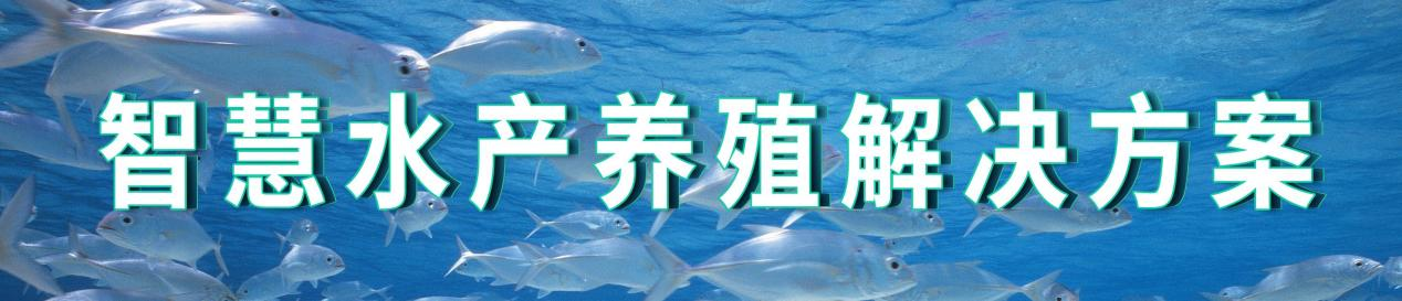 1705562022211971.jpg 2345_image_file_copy_36.jpg